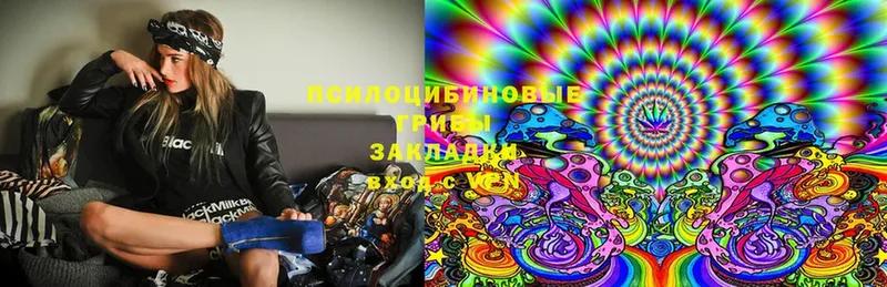 Псилоцибиновые грибы Cubensis  Канск 